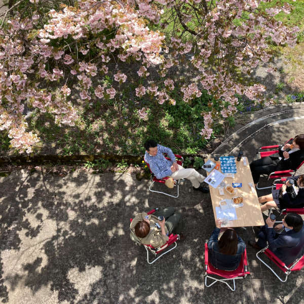 KOTELOのお花見茶会