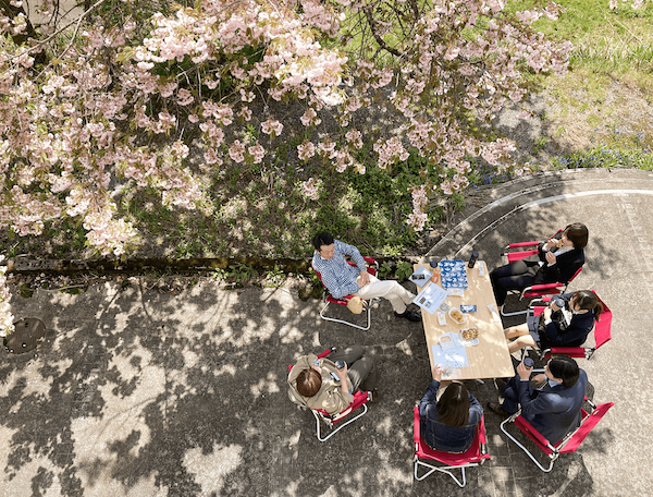 KOTELOのお花見茶会