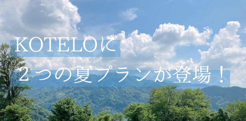 新・夏プランできました！