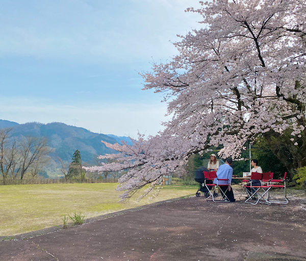 ꒰ イベントレポート ꒱ KOTELOのお花見茶会